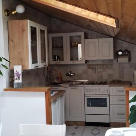 Apartment Gaudeamus أوماغ المظهر الخارجي الصورة